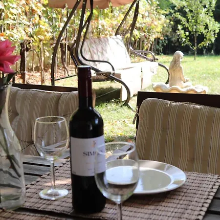 Grape&wine Erlau