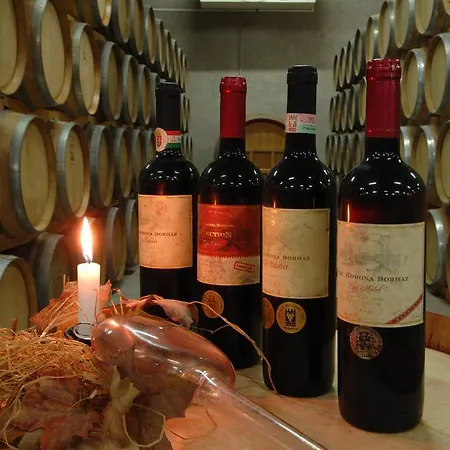 Grape&wine Gasthof *