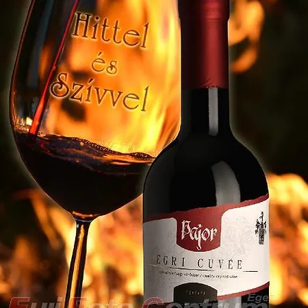 Grape&wine * Erlau