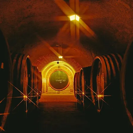 Gasthuis Grape&wine Eger